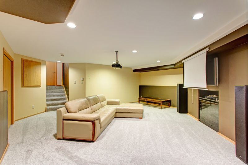 Basement Vacuuming in Frisco, TX
