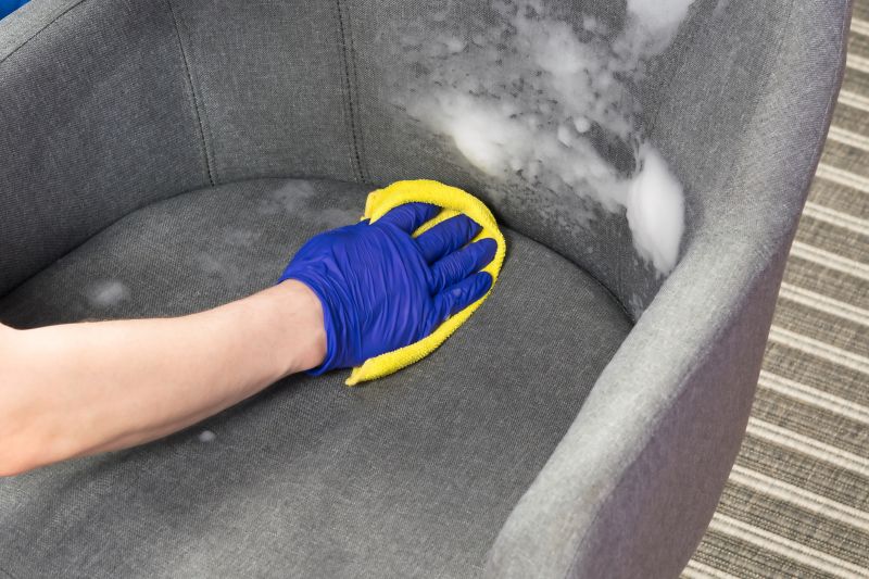 Furniture Cleaning Service in Sanford, FL