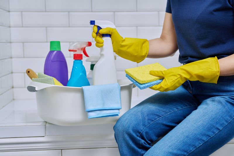 Kitchen Cleaning in Renton, WA